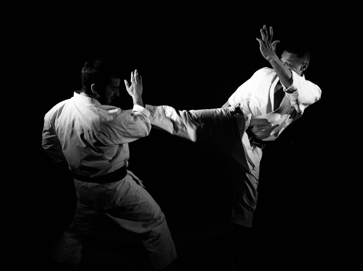 Marc Feldis (7eme dan) et Samuel Volny-Anne (4eme dan), 2 des instructeurs du Bikukan Paris 14